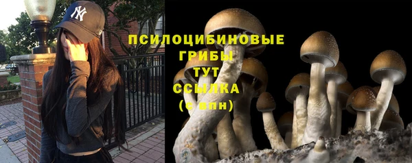 хмурый Каменногорск