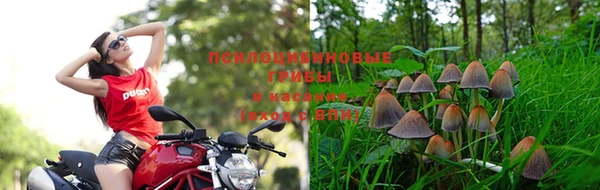 спайс Алексеевка