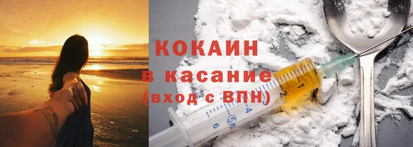 гашик Корсаков