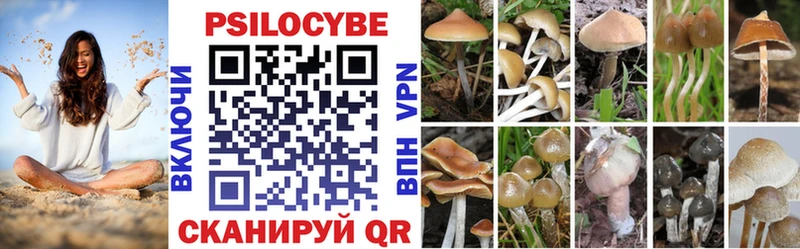 купить наркоту Карпинск OMG Галлюциногенные грибы MAGIC MUSHROOMS